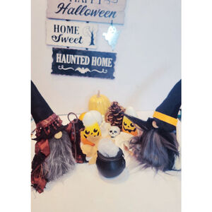Halloween Witch Wizard gnome home decor